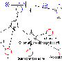 modelldiagramm3.gif